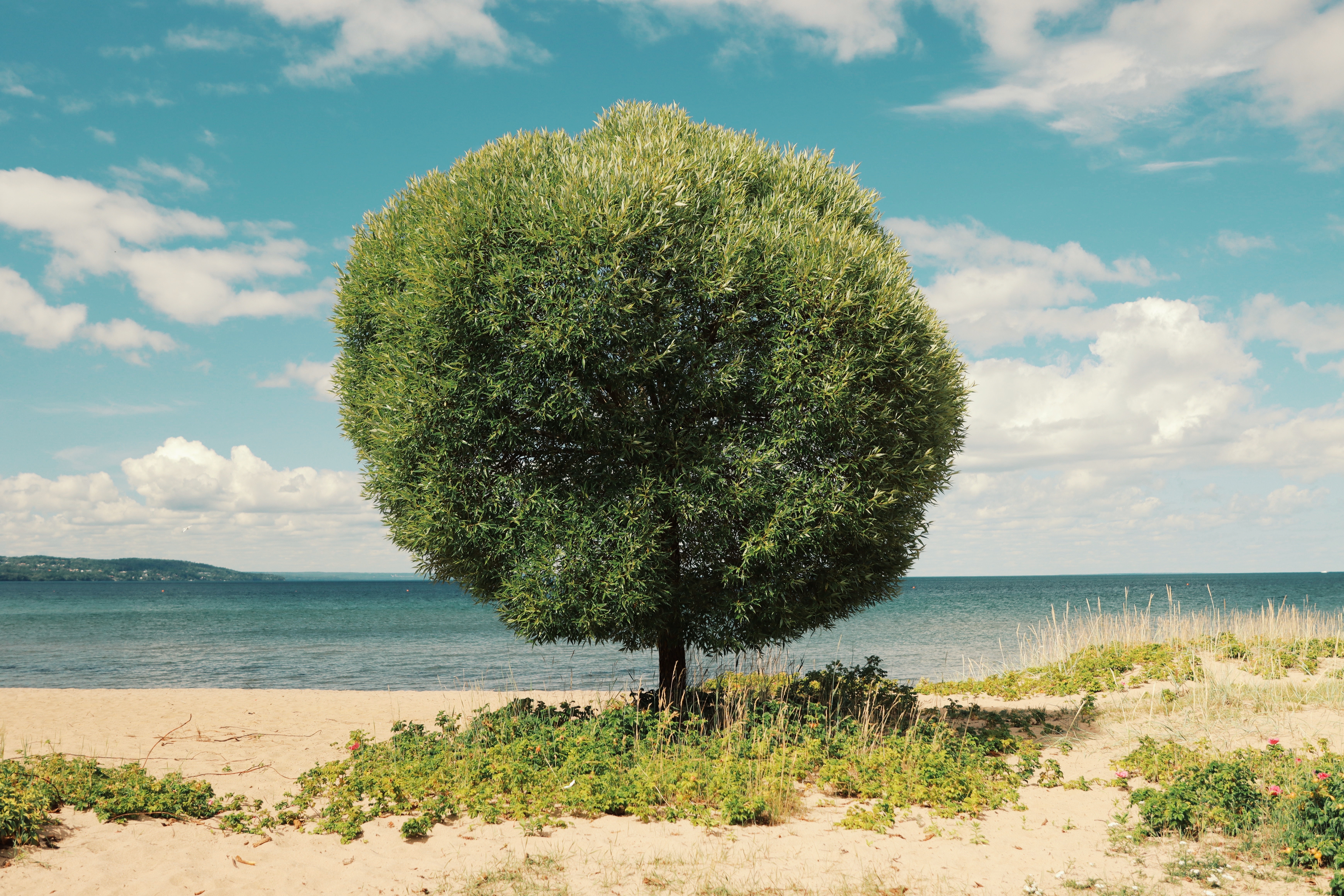 pexels-efrem-efre-17644160